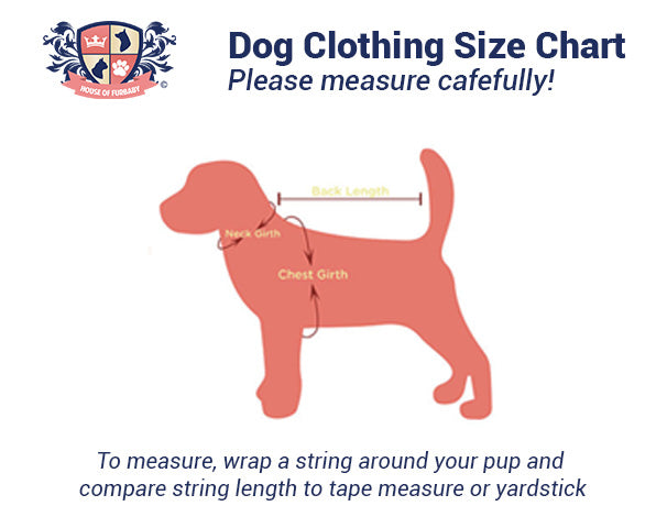 Holiday Dog Shirt | Coquette Candy Canes